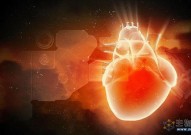 Cell重磅：成功构建全球首个多腔室心脏类器官平台研究心脏发育和疾病