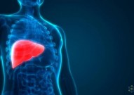 Nature子刊：周斌团队发现双潜能肝脏祖细胞促进肝脏修复再生机制