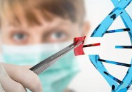硬核生物科普：什么是“DNA损伤应答”（DDR）？