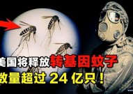 美国20年来首现5例本土疟疾，曾轰动一时的转基因“灭蚊计划”，最后反被蚊子将一军