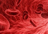 Nat Commun：林爱福团队发文揭示细胞铁代谢重编程调控肿瘤进程新机制