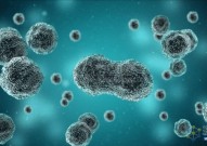 Cell：姜学军团队发现铁死亡全新监测机制，受性激素调控，带来癌症治疗新思路