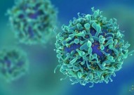 为癌症开发的CAR-T细胞疗法，正在成为治愈红斑狼疮的新希望，已成功治疗十多人