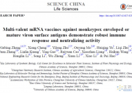 猴痘病毒mRNA疫苗的动物研究揭示多价抗原的增强保护机制