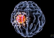 Nature子刊：新型纳米颗粒递药平台，突破血脑屏障，显著增强脑肿瘤治疗效果
