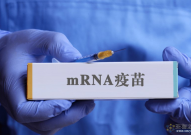 18步揭秘mRNA疫苗制备全流程，广泛应用在癌症治疗等生物医药领域