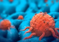 Immunity：惠恩夫团队发现T细胞能够通过自我激活来对抗肿瘤
