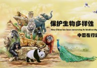 最高人民法院发布《中国生物多样性司法保护》报告