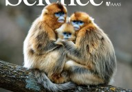​中外科学家8篇Science：聚焦灵长类基因组计划——揭示灵长类动物演化之谜