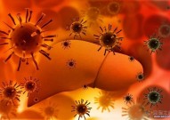 《Nature》几十年的谜团——丙型肝炎为啥能逃避人体免疫系统？