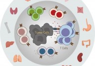 Cancer Cell：T细胞图谱决定了多发性骨髓瘤患者对双特异性T细胞衔接器的应答