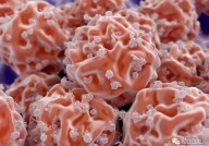 细胞治疗技术：下一代疾病治疗药物的方向