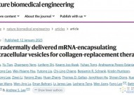 Nature子刊：细胞外囊泡装载mRNA的蛋白质替代疗法