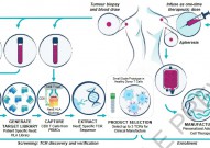 CRISPR个性化基因疗法获重大进展：基因编辑T细胞治癌开始人体试验