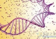 Nature突破性新发现：基因组中的“跳跃基因”为研究衰老和肿瘤发生提供了新见解