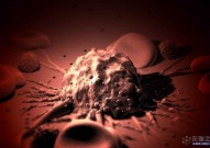 扩展CAR-T细胞疗法到实体瘤：激活癌细胞死亡的“开关”Fas助攻