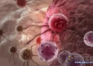 癌细胞能改变大小逃避药物攻击！这是预测疗效反应的新契机？