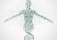 人类基因组图谱迎20年重大升级，精准医疗再添“利器”