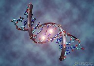 改变DNA甲基化真的能逆转衰老吗？看完这篇文章你就懂了