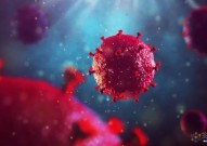 破解HIV潜入人类细胞核之谜，华人学者Nature论文发现，HIV病毒衣壳进化成了一种核转运蛋白，逃过细胞防御系统