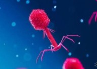 Nature：科学家发现病毒对抗细菌CRISPR免疫系统的全新方式