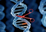 美国FDA批准首款CRISPR基因编辑疗法 科研突破到商业落地仅用十年