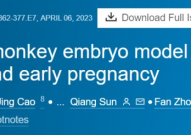 中国科学家首次将「猴胚胎」体外培养至原肠胚阶段，移植体内可引起早期妊娠，业内观点：暂未完美复制出天然胚胎