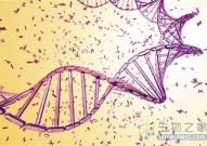 Nature：“跳跃基因”或能改变人类结肠组织的基因组特征，有望揭示衰老和癌症发生的奥秘