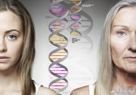 Nature子刊：斯坦福大学研究发现，miRNA是衰老的系统调节因子