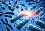 二十年磨一剑：这项研究颠覆了长期以来关于染色体端粒和癌症的理论？