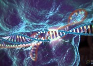 打破传统CRISPR技术限制，新型基因编辑工具包在细菌中实现大范围、高精度、可逆编辑