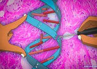 Nature Methods | MEGAA：一种高效模板引导的合成高保真DNA突变体的方法