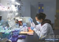 广州国际生物岛筹建总部基地 在全球生物医药领域发出中国强音