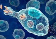 Cell：超级杀伤性T细胞出现！能够同时识别多种不同癌症相关靶标