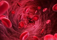 全球首款现货型干细胞移植疗法：脐带血细胞疗法获批