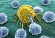 什么是CAR-T细胞疗法？CAR-T细胞的体内命运？
