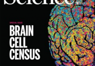 大脑深处的“秘密”，以详细的细胞图谱启发新一代脑部疾病治疗