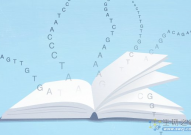 基因测序进入大样本时代，长读长测序如何成为主导？
