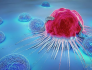 加州大学揭示T细胞拥有自我激活的“自驱力”，或为肿瘤治疗开辟新途径！